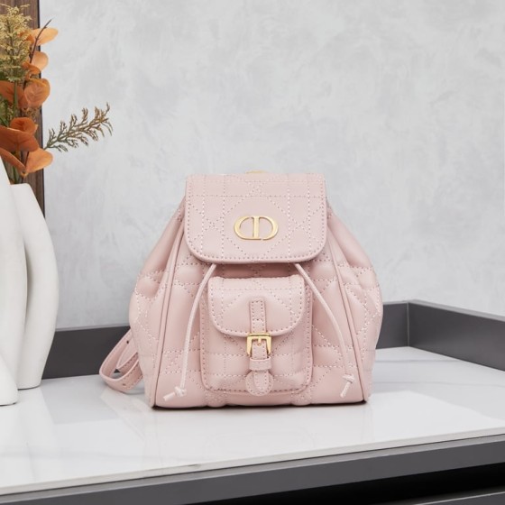 Dior Caro Backpack (pink)